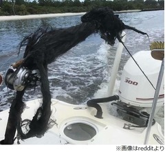 雷に打たれた釣竿が壮絶すぎる