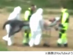 人魚捕獲した？動画が話題に、化学防護服着込んだ数人による運搬シーン。