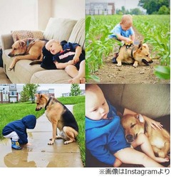 1歳児と飼い犬の“絆”が評判、常に寄り添う日々を両親が撮影・公開。