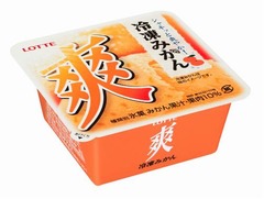 懐かしさ漂う「爽」冷凍みかん、学校給食の思い出をアイスで表現。