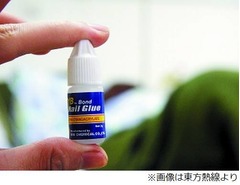 目薬と間違えて接着剤を点眼、自分のミスでカバンにネイル用接着剤。