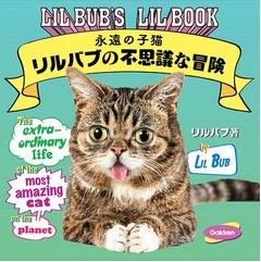 「全米が愛でた」大人気の子猫、“リルバブ”フォトブックが日本上陸。