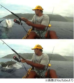 釣った魚めがけサメがザバッ、海釣りで遭遇した恐怖シーンに大反響。