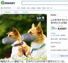 韓国で流行る“犬用マスク”、効果には賛否も…