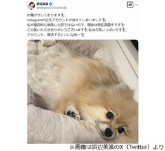 浜辺美波の公式インスタ消えた…「お騒がせしております」意図的に削除したわけではない