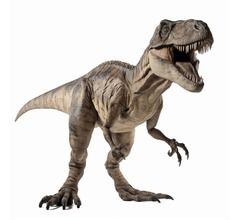 ティラノサウルス、“関節炎”で腰と膝の痛みがあった