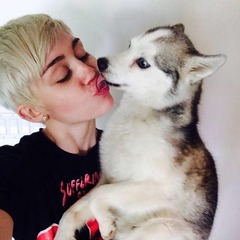 マイリーが霊能者雇った理由、死んだ愛犬との“交信”を果たす。