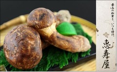 “松茸2本”超豪華iPhoneカバー、食品サンプルケースシリーズに新作。