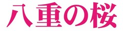 2013年大河ドラマは「八重の桜」、主演は大河初出演の綾瀬はるかに。