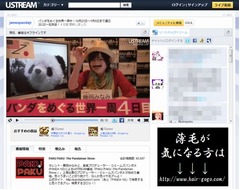 15日間「パンダ巡り」世界一周、PANDA 1/2がUSTREMで毎日生中継。