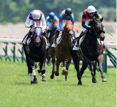 競馬ファン1000人が投票「名レース総選挙」