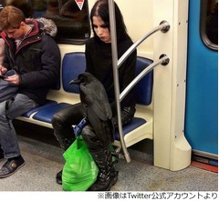 電車内の“膝にカラスのせたゴス女性”に騒然