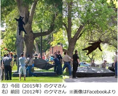 “今季最高のクマ写真”が人気、大学に出現「フォーリン・ベアー2.0」。