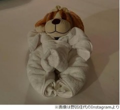 ディズニー大好き野呂佳代「私も“ぬい活”やってるんです」