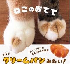 にゃんこの“おてて”だけ集めた写真集