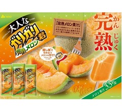 完熟メロン果汁33%使用、本格的な「大人なガリガリ君完熟メロン」