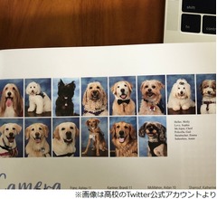 卒業アルバムに“14匹の犬”、その理由は…