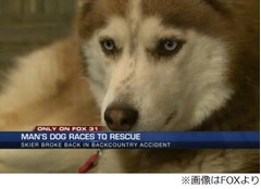 愛犬が大けがの飼い主を救う、“人生最大の危機”に献身的な行動。