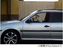 車運転しているのは犬だった、スムーズな直進で道路の段差も乗り越える。