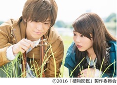 “王子様”岩田剛典に胸キュン、高畑充希とW主演「植物図鑑」特報。