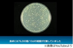 食卓での“3秒ルール”を検証、キレイに見えても台ふきんが雑菌温床に。