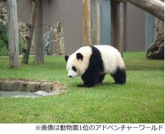 行って良かった動物園&水族館、口コミで選ばれたランキング1位は?