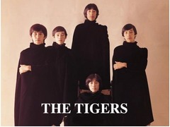 ザ・タイガース“CD初”TOP100、メンバー監修ベストが初登場95位。