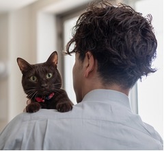 猫は“男性の飼い主”により騒がしくなる、女性のほうが猫との会話に長けている可能性