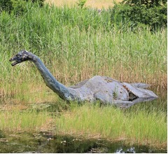 “2つのコブ”を持つ謎の生物、ネス湖で目撃され話題「唯一の可能性はネッシーです」