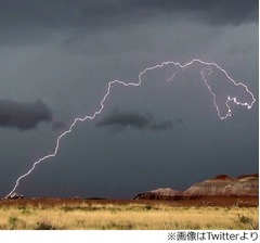 恐竜？“化石の森”公園で撮影された雷が話題