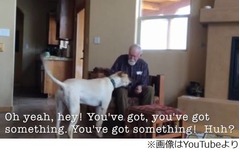 犬に触れ言葉を思い出した父、認知症で会話ない生活の中での“奇跡”。