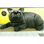 超巨大モッフモフクロネコ出現、期間限定で新宿駅にさわれる“全身”。