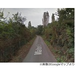 散歩道で老人3人の性行為目撃、3人の子連れだった男性が自治体に苦情。