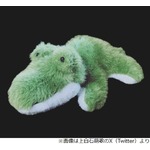 上白石萌歌がSNSプロフィール画像を“ワニ”に変更、「なぜ…」「100日後に…」の声