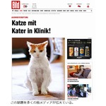 ワイン貯蔵庫に閉じ込められた猫、失踪7週間後にふらふらの状態で発見。