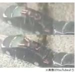 ひょうから“泳いで”愛車守る、車の屋根でひたすら手足バタバタ。