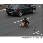 轢かれた犬救出の11歳に反響、車が行き交う道路の真ん中へ駆け寄る。