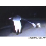 ブチギレ男が犬振り回し警官攻撃、地元警察「こんなの初めて」と驚く。