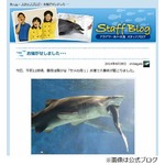 水族館でサメがサメをガブリ、茨城県大洗水族館が“事件”を報告。