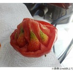 トマトの中でイチゴが育った？