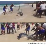 サメ引きずり上げ写真撮り炎上、ライフガードも参加で物議醸す。