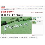 嵐CM“羊のPeace”はホンモノ、約140頭に900時間トレーニングで実現。