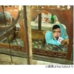 体はキツネで顔は人間の珍獣、パキスタンの動物園で“飼育”され人気。