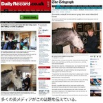 ポニーの部屋飼いに周囲困惑、購入後の準備不足で厩舎預けられず。