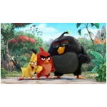 映画アングリーバードが好発進、週末3日で43億円稼ぎ全米初登場No.1。