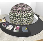 従来の菊のイメージ一変“菊の惑星”