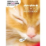 an・an発の子猫写真集が大人気、動物写真集では4年4か月ぶり部門1位。