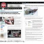 “顔のない魚”発見され騒然、過去に1度記録