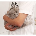 高橋克典、“抱っこされる愛猫”に「慣れたにょか！？ 目、怒ってるよな」