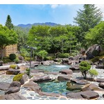 大江戸温泉物語、“リブランド”と“リニューアル”4月に2つのホテルをオープン